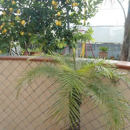 Oda ve Kahvaltı H.ave