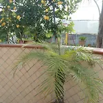 לינה וארוחת בוקר H.ave