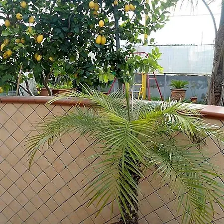 فندق مبيت وإفطار H.ave بومبيي