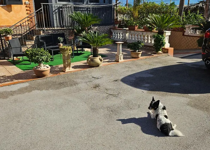 לינה וארוחת בוקר H.ave