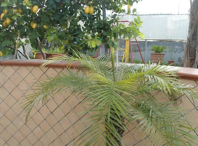 לינה וארוחת בוקר H.ave